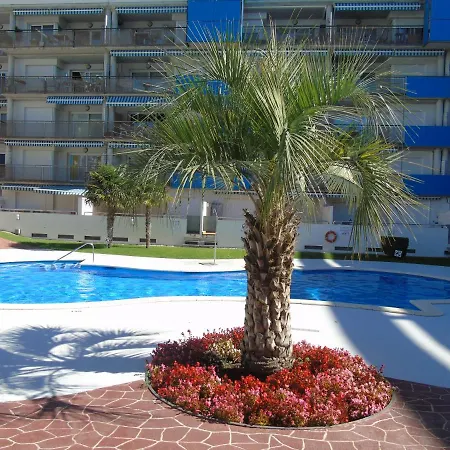 Avec Attico Et Piscine Roses